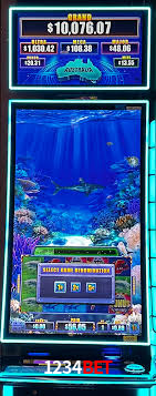 Daily Bonuses 1234bet